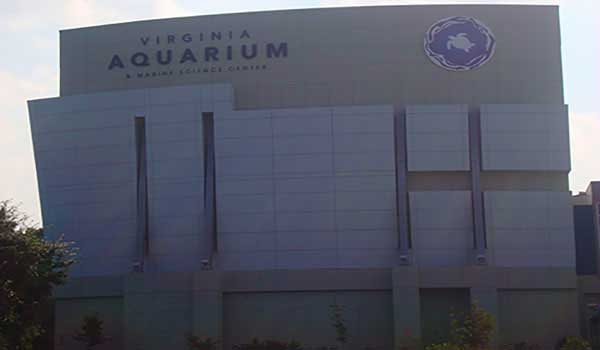 Virginia Beach Aquarium